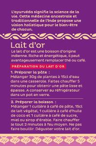 PREPARATION POUR LAIT D'OR BIO 90G
