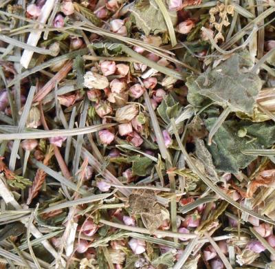 TISANE 1001 PLANTES DE CORREZE BIO 50G