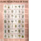 AFFICHE "Flore Médicinale de base" 60x44cm