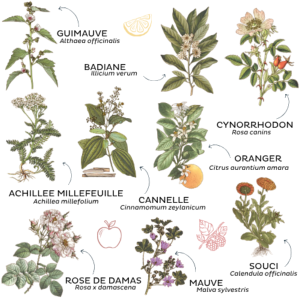 TISANE LA FESTIVE BIO 50G