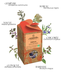 TISANE DETOX BIO 80G