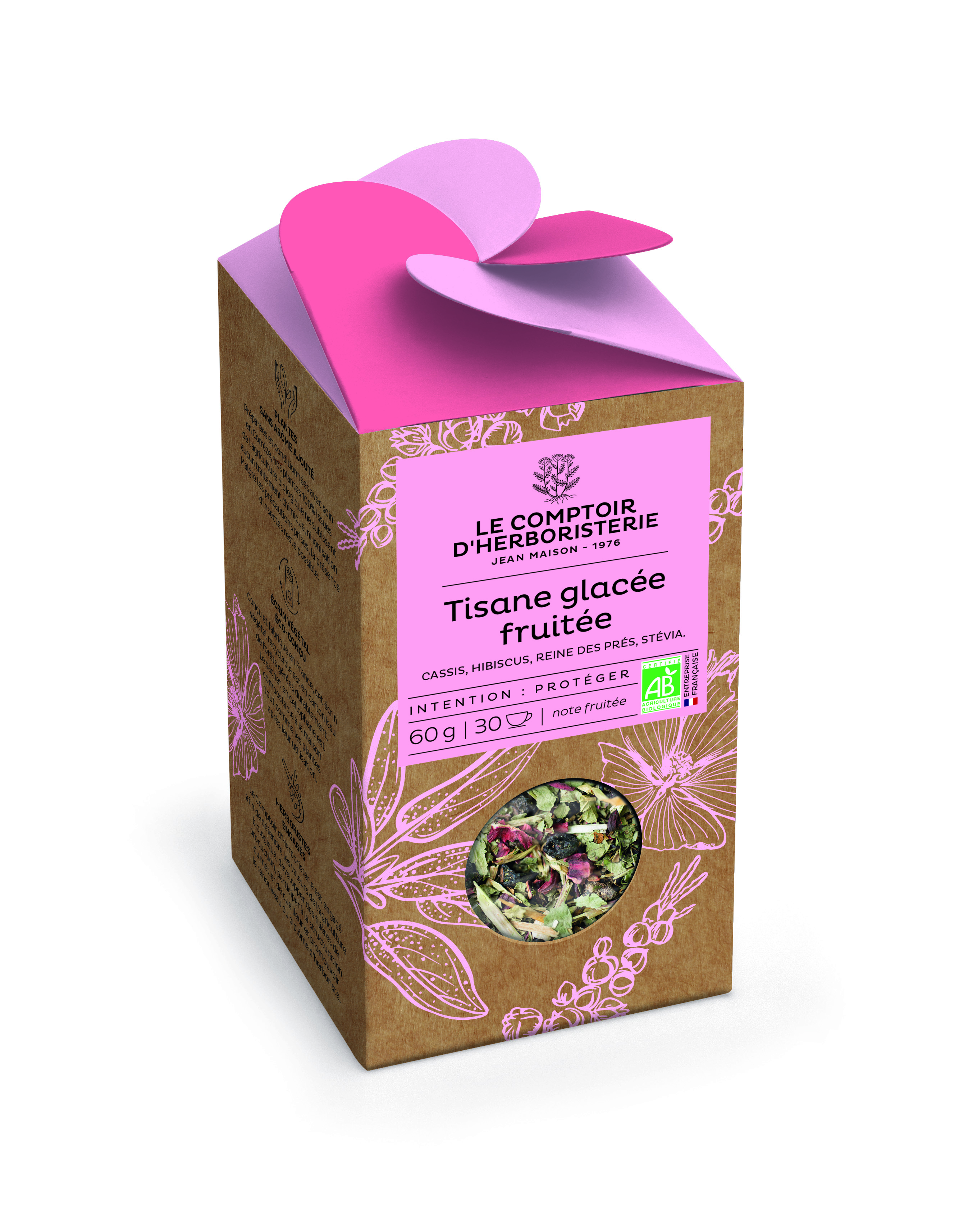 TISANE GLACEE FRUITEE BIO 60G