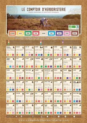 POSTER PLANTES LCH