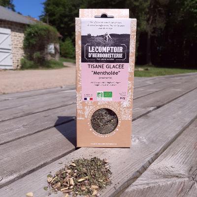 TISANE GLACEE MENTHOLEE BIO 60G