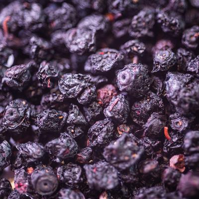MYRTILLE BIO FRUIT 50G