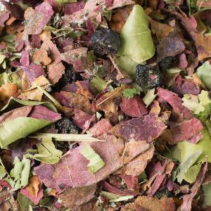 TISANE JEUNESSE BIO 50G