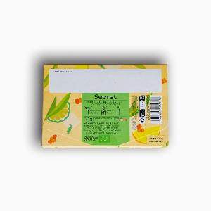 INFUSION GLACEE BIO A POSTER SECRET 30G