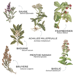 TISANE LA FEMININE BIO 50G