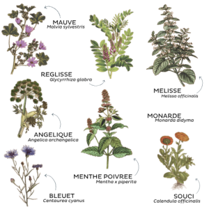 TISANE DE LA FAMILLE BIO 50G