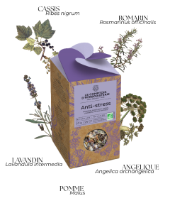 TISANE ANTI-STRESS BIO 50G