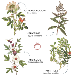 TISANE L'HEURE DU GOÛTER BIO 80G - ESPRIT D'ENFANCE
