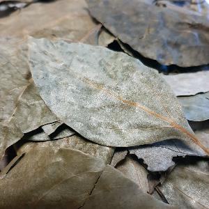 RAVINTSARA BIO FEUILLE 20G